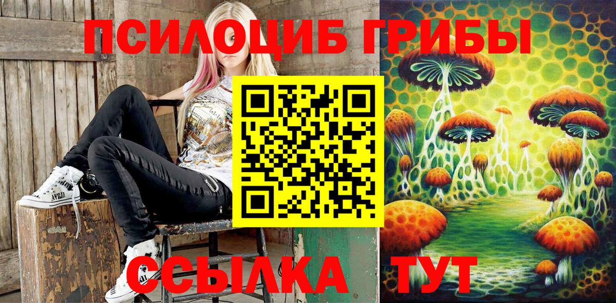 Псилоцибиновые грибы прущие грибы  Вход с VPN  Галлюциногенные грибы Psilocybine cubensis  Щёлково 
